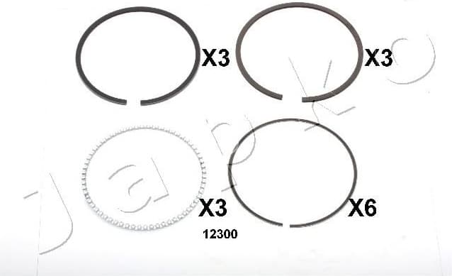 Piston Ring 412300J