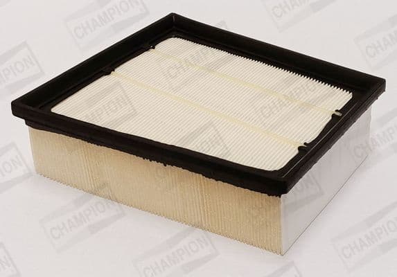 Air Filter CAF101216P