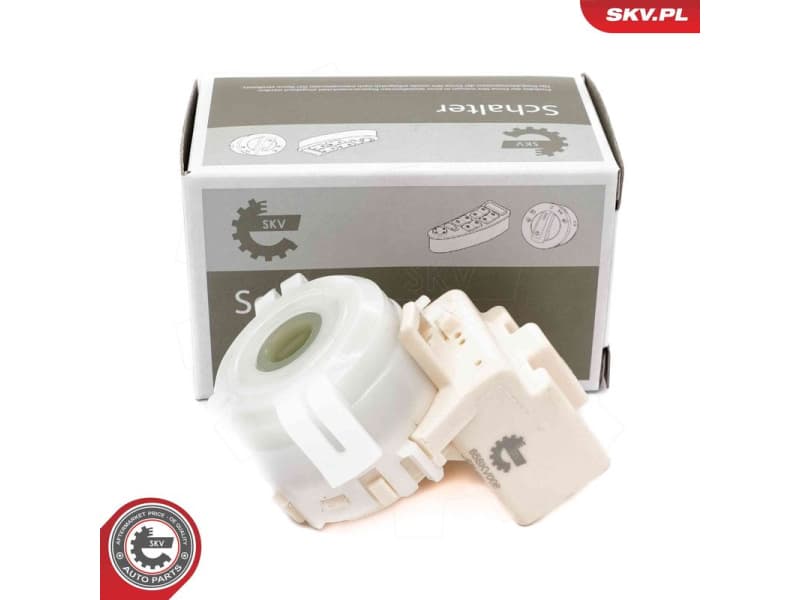 Ignition Switch 65SKV006