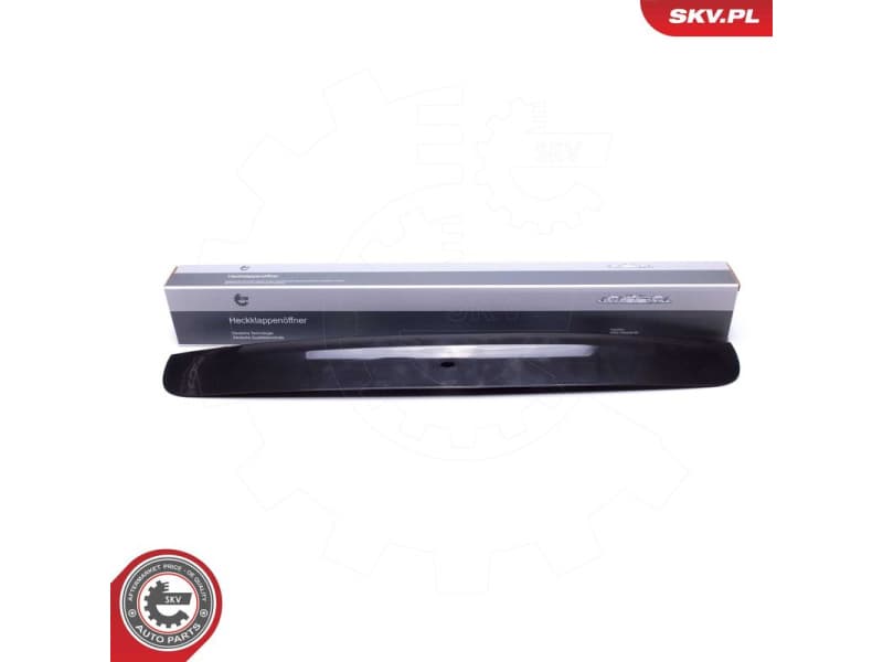 Clip, trim/protection strip 96SKV821