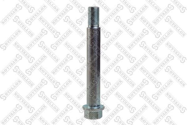Camber Correction Screw 79-01170-SX