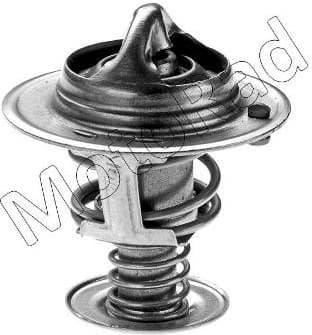 Thermostat, coolant 214-82JK