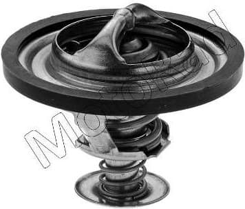 Thermostat, coolant 411-85K