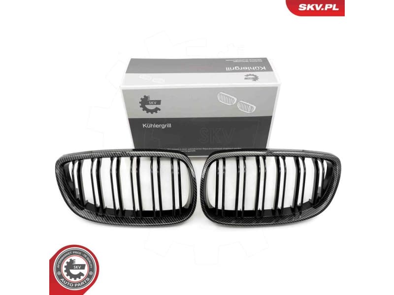 Radiator Grille 66SKV111