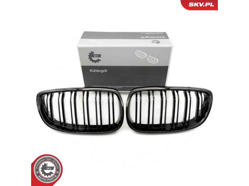 Radiator Grille 66SKV107