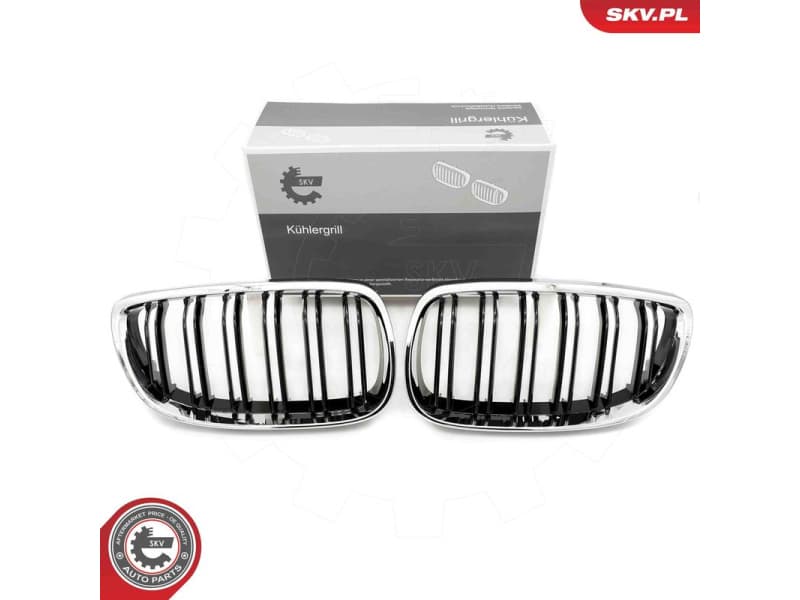 Radiator Grille 66SKV110