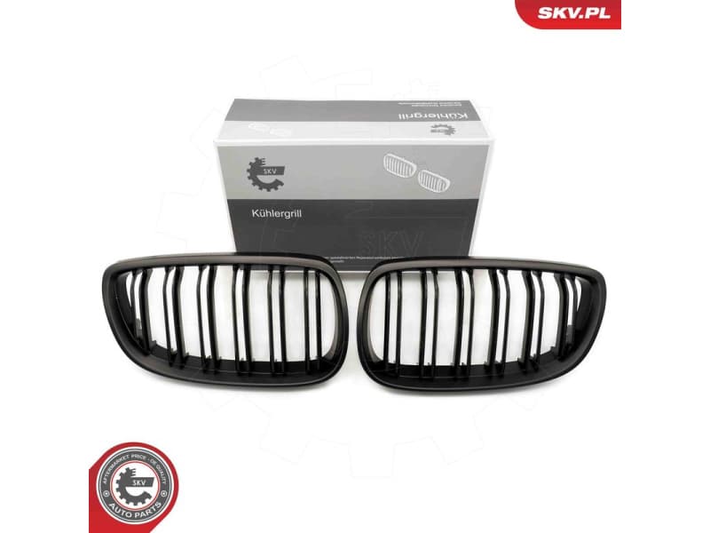 Radiator Grille 66SKV109
