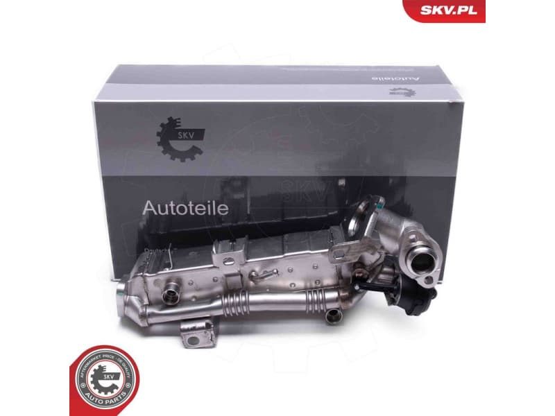 EGR Valve 14SKV239