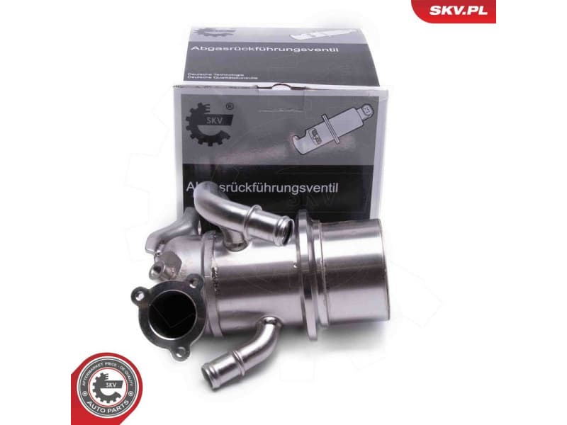 EGR Valve 14SKV243