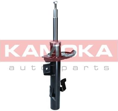 Shock Absorber 2001287