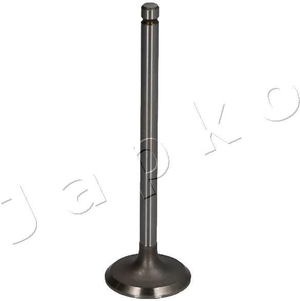 Intake Valve 5MI002