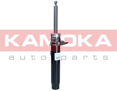 Shock absorber front 2000343