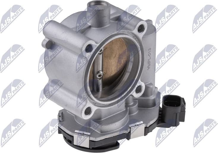 Throttle Body ETB-PL-013