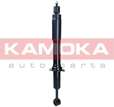Shock Absorber 2001152