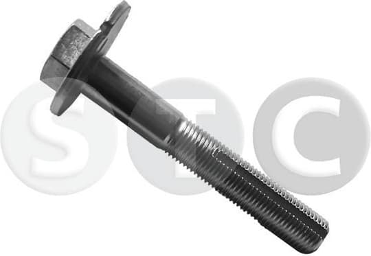 Bolt eccentric T439290