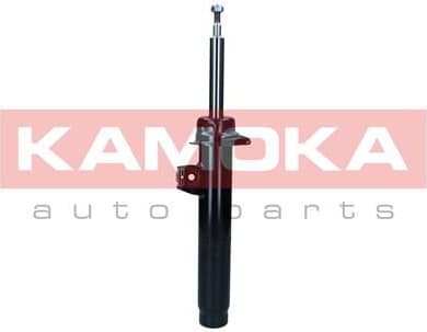 Shock absorber front 2001111