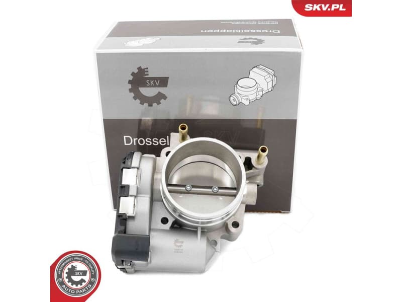 Throttle Body 12SKV131