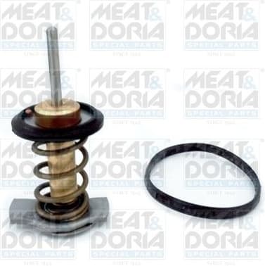 Thermostat, coolant 92840