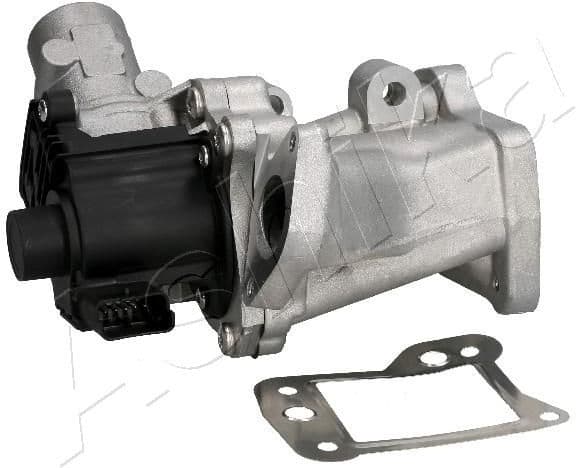 EGR Valve 150-0L-L06