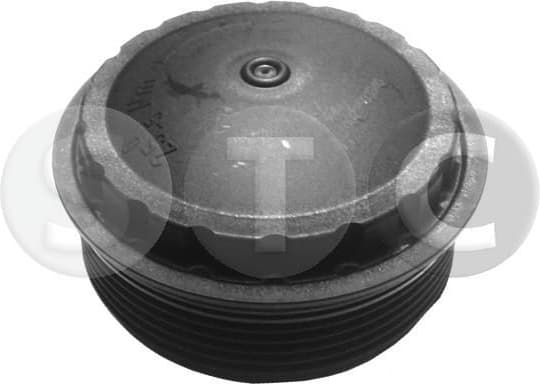 Cap, oil filter T403840 - image 2