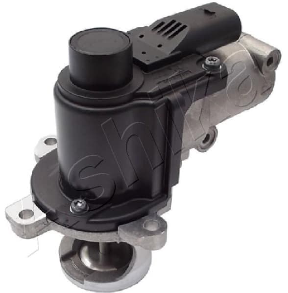 EGR Valve 150-00-0915