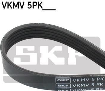 Belt PK-multirib VKMV 5PK1310