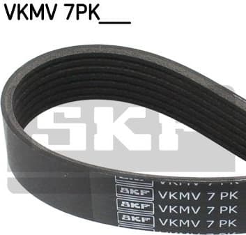 Belt PK-multirib VKMV 7PK1370