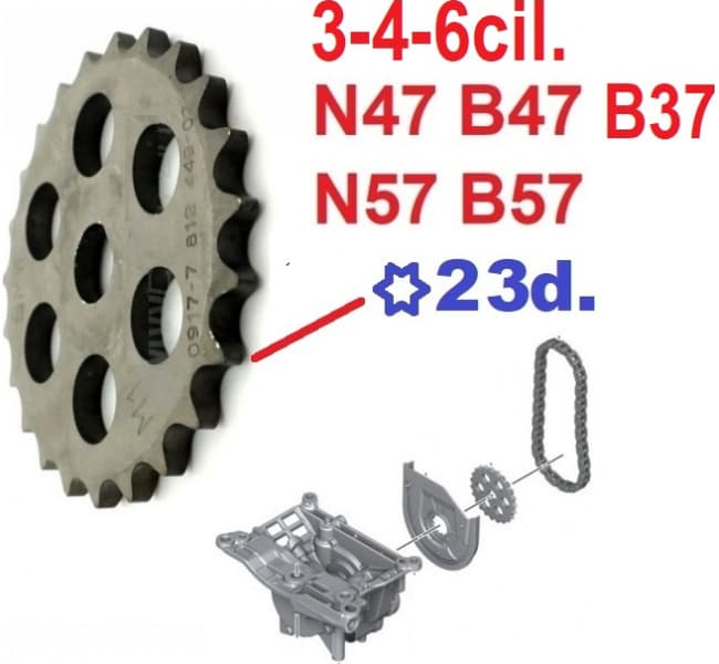 Sprocket, oil pump 11417812449