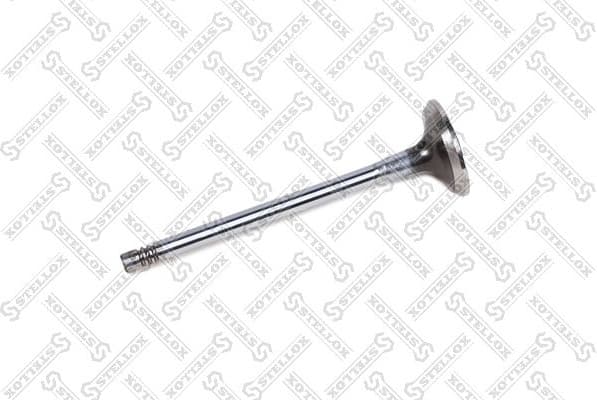 Exhaust Valve 01-24402-SX
