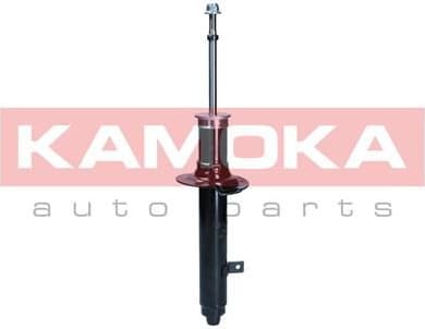 Shock Absorber 2001131