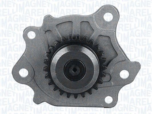 Oil Pump 351516000116