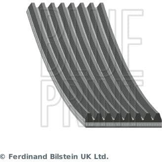 V-ribbed Belt AD08R1295