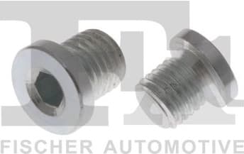 Screw Plug 257.829.001 - image 2