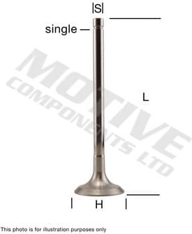 Intake Valve IV3376