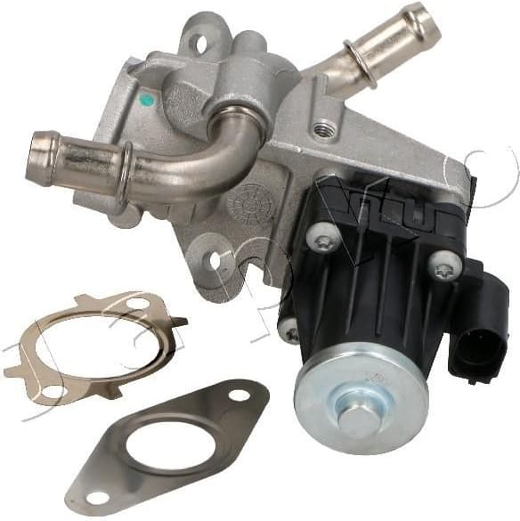 EGR Valve 1500314