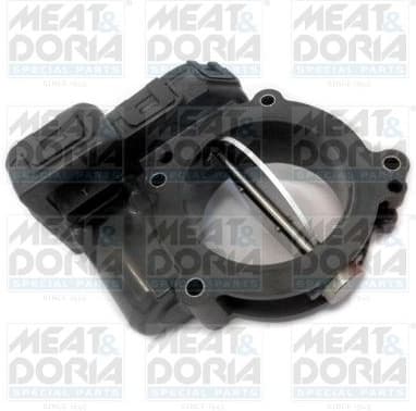 Throttle Body 89208