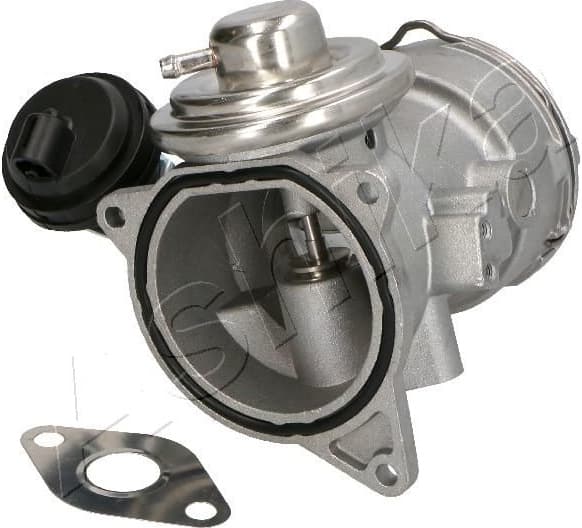 EGR Valve 150-00-0924