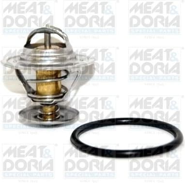 Thermostat, coolant 92243