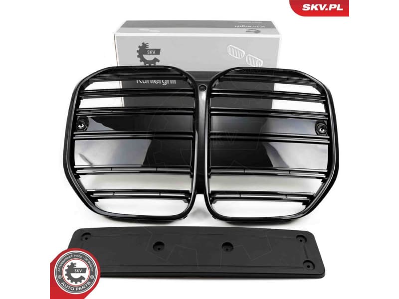 Radiator Grille 66SKV155