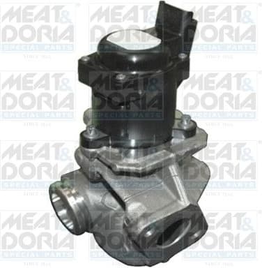 EGR Valve 88086R