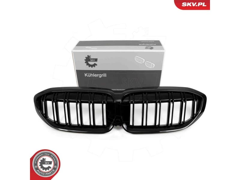 Radiator Grille 66SKV139