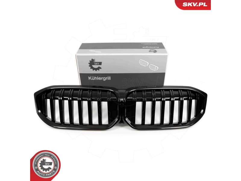 Radiator Grille 66SKV144