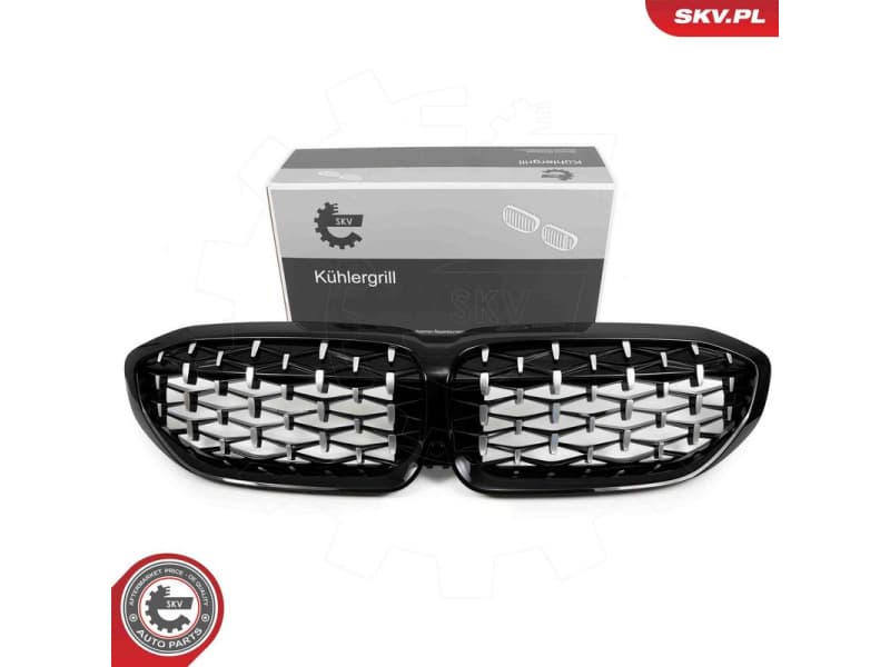 Radiator Grille 66SKV142