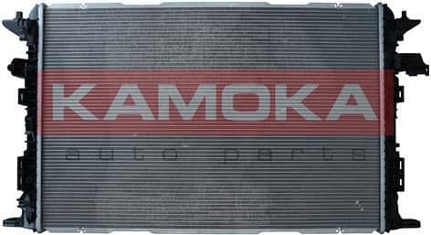 Radiator, engine cooling 7705222 - image 2