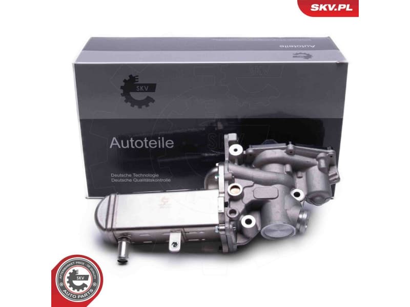 EGR Valve 14SKV241