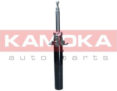 Shock absorber front 2001114