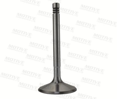 Intake Valve IV10022