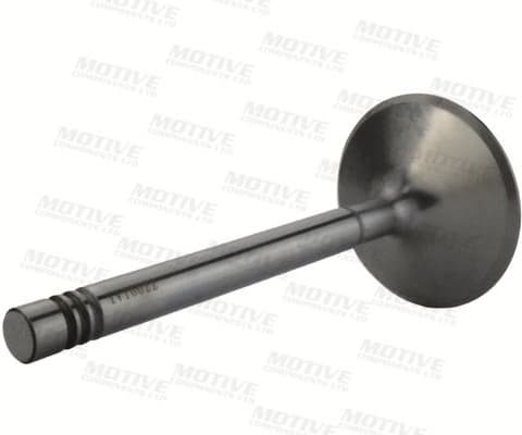 Intake Valve IV10022 - image 3
