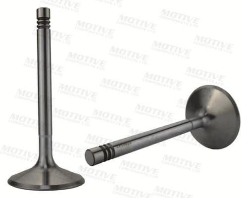 Intake Valve IV10022 - image 4