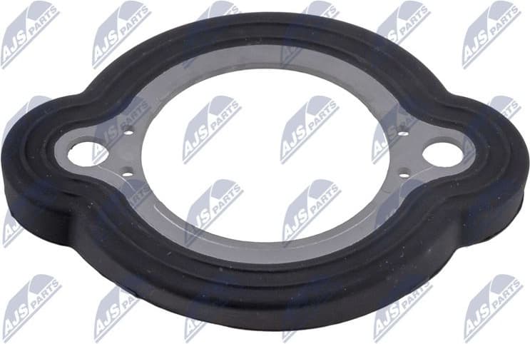 Gasket, coolant pipe NUP-BM-010